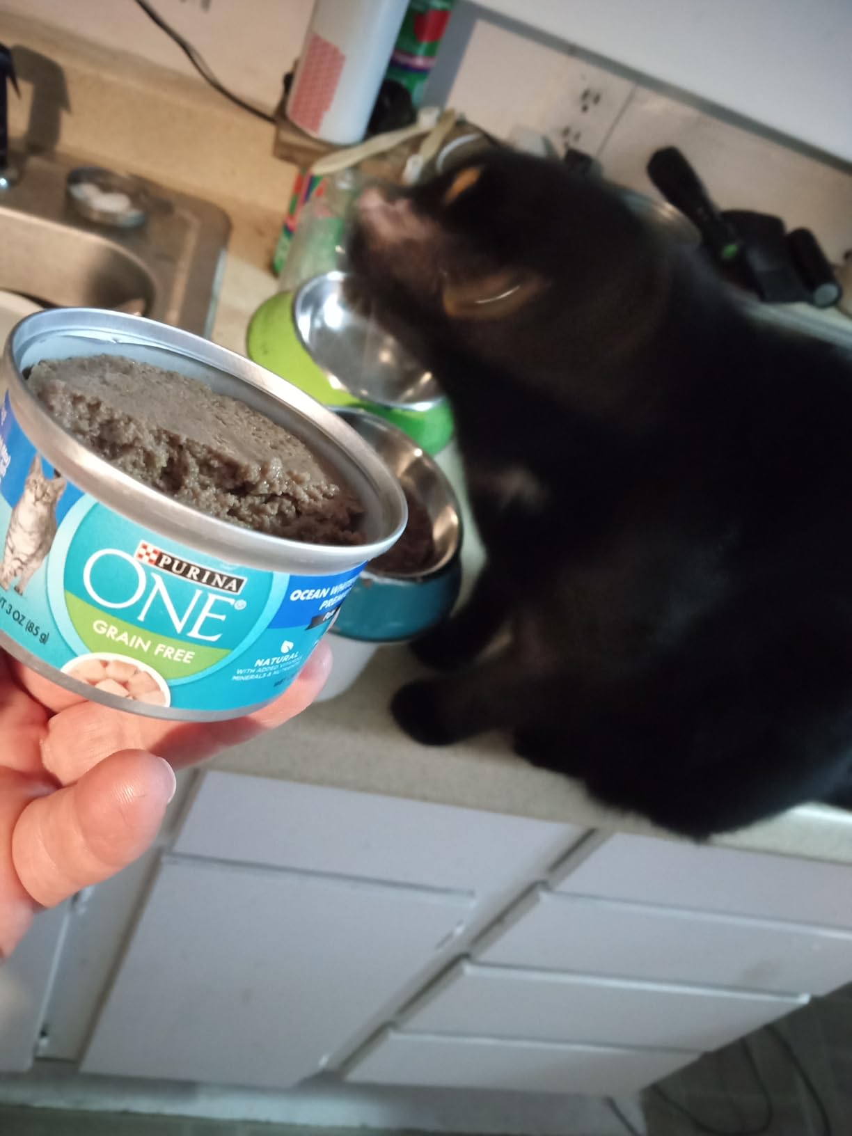 Purina ONE High Protein, Grain Free Pate Wet Cat Food Variety Pack, Grain Free Formula - (Pack of 24) 3 oz. Cans customer photo 2