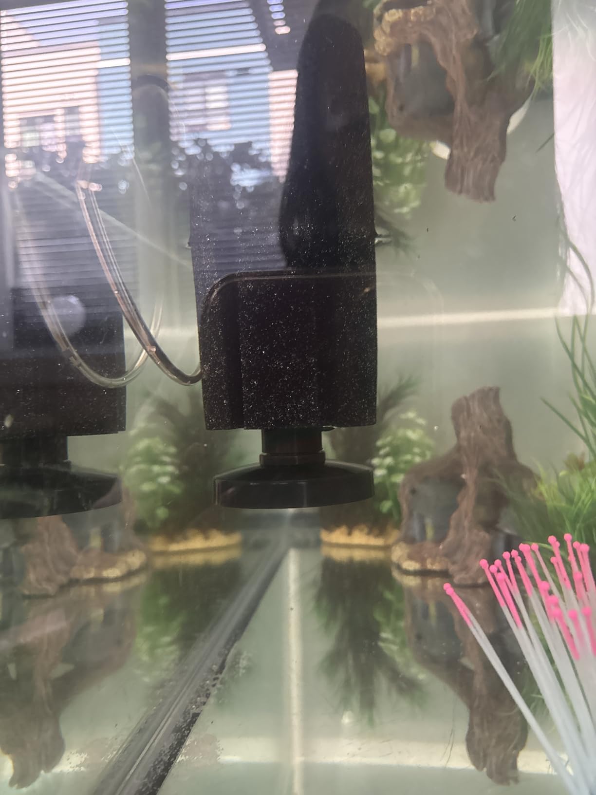 AQUANEAT 3 Pack Aquarium Bio Sponge Filter for Breeding Fry Betta Shrimp Nano Fish Tank (up to 10Gal) customer photo 1