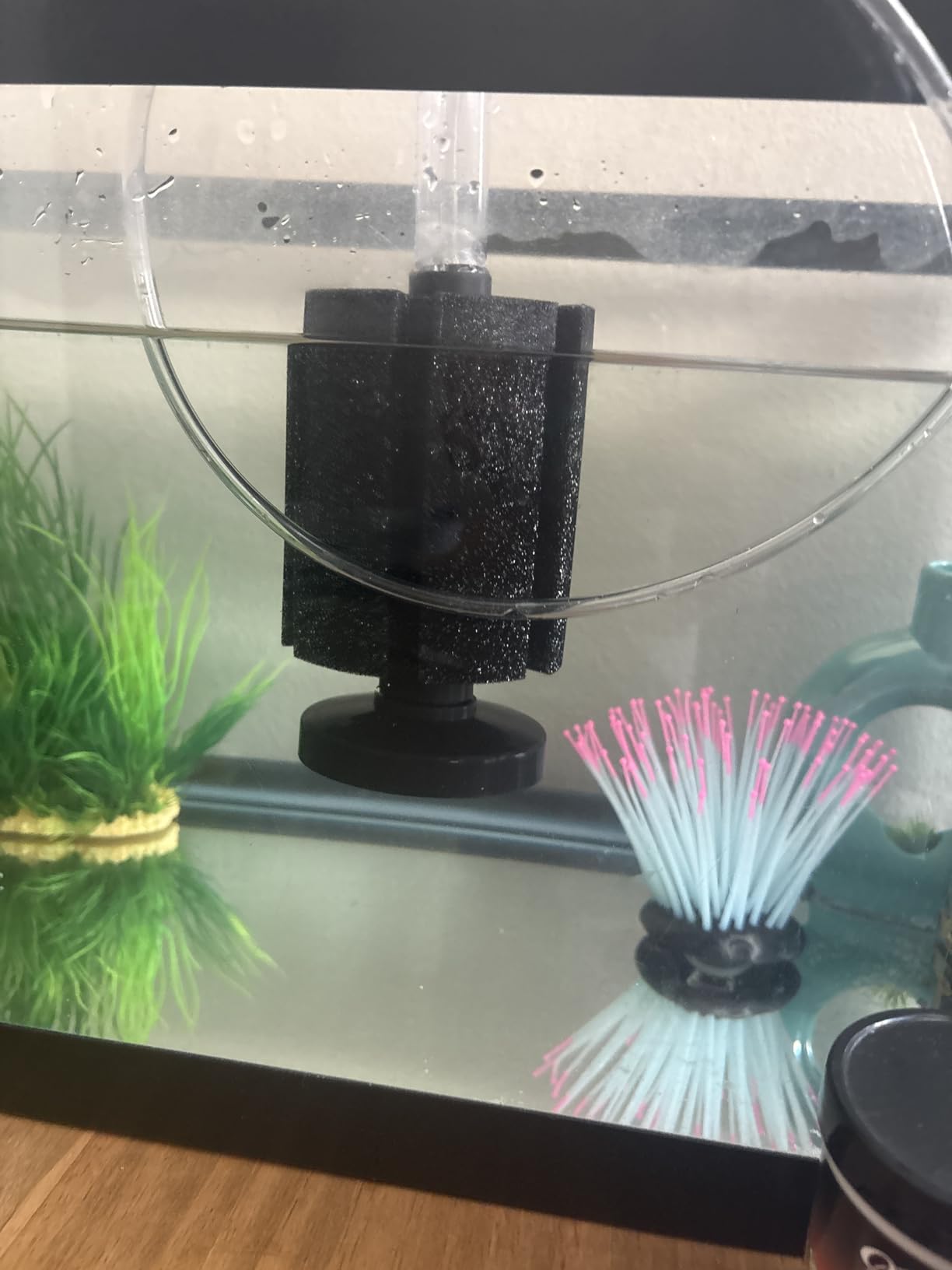 AQUANEAT 3 Pack Aquarium Bio Sponge Filter for Breeding Fry Betta Shrimp Nano Fish Tank (up to 10Gal) customer photo 2