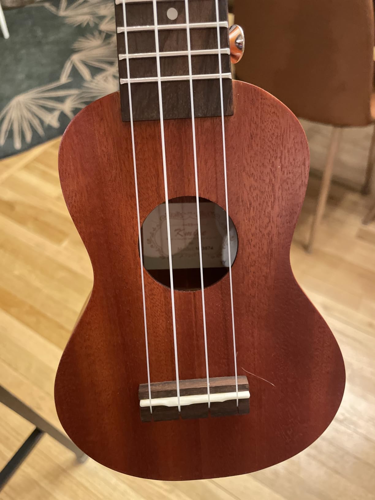 Kmise Professional Ukulele for Adult Beginner, Free Online Lesson 23 inch Concert Mahogany Ukelele with Kids Ukele Bundle Starter Kit Gig Bag Case, Strap, Tuner, Nylon Strings, Book customer photo 2