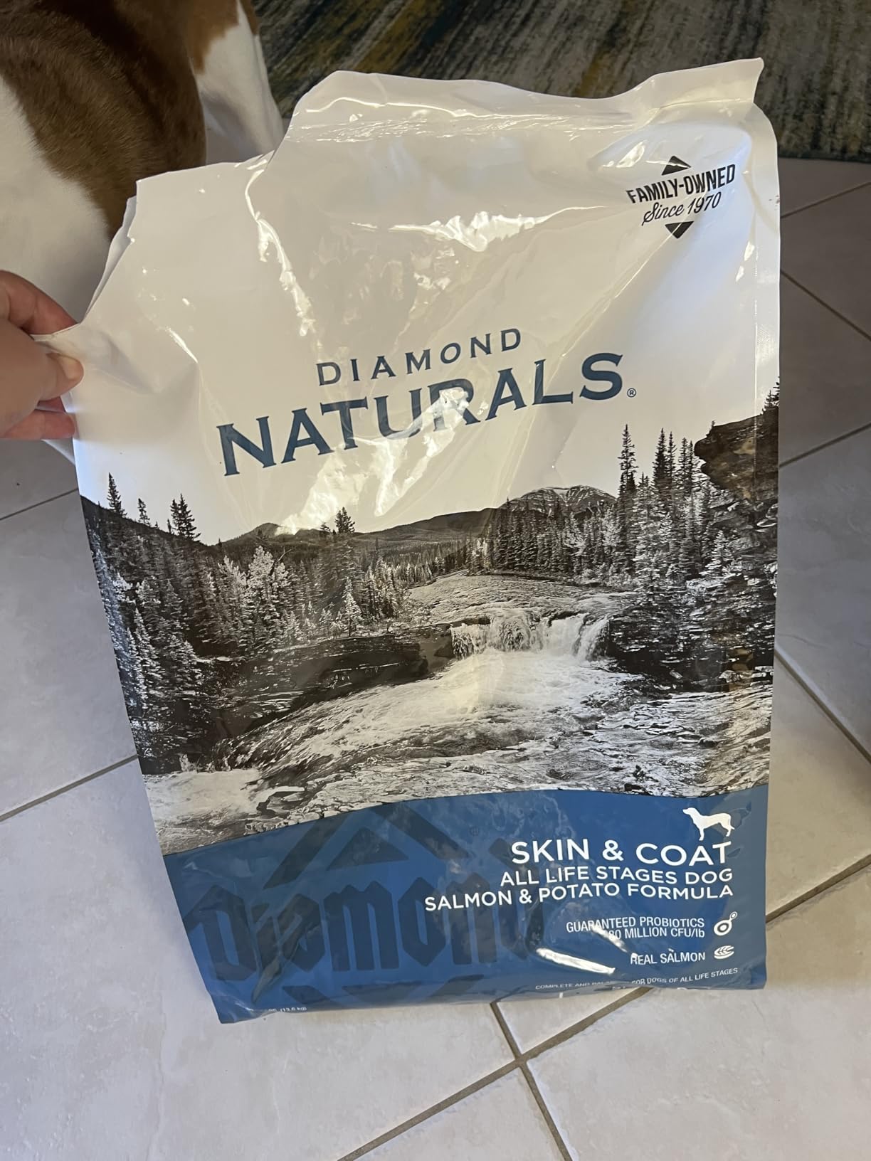 Diamond Naturals Skin & Coat Real Salmon and Potato Recipe Dry Dog Food with Quality Protein, Omega Fatty Acids, Probiotics and Essential Nutrients to Promote Healthy Skin and Coat 30lb customer photo 2