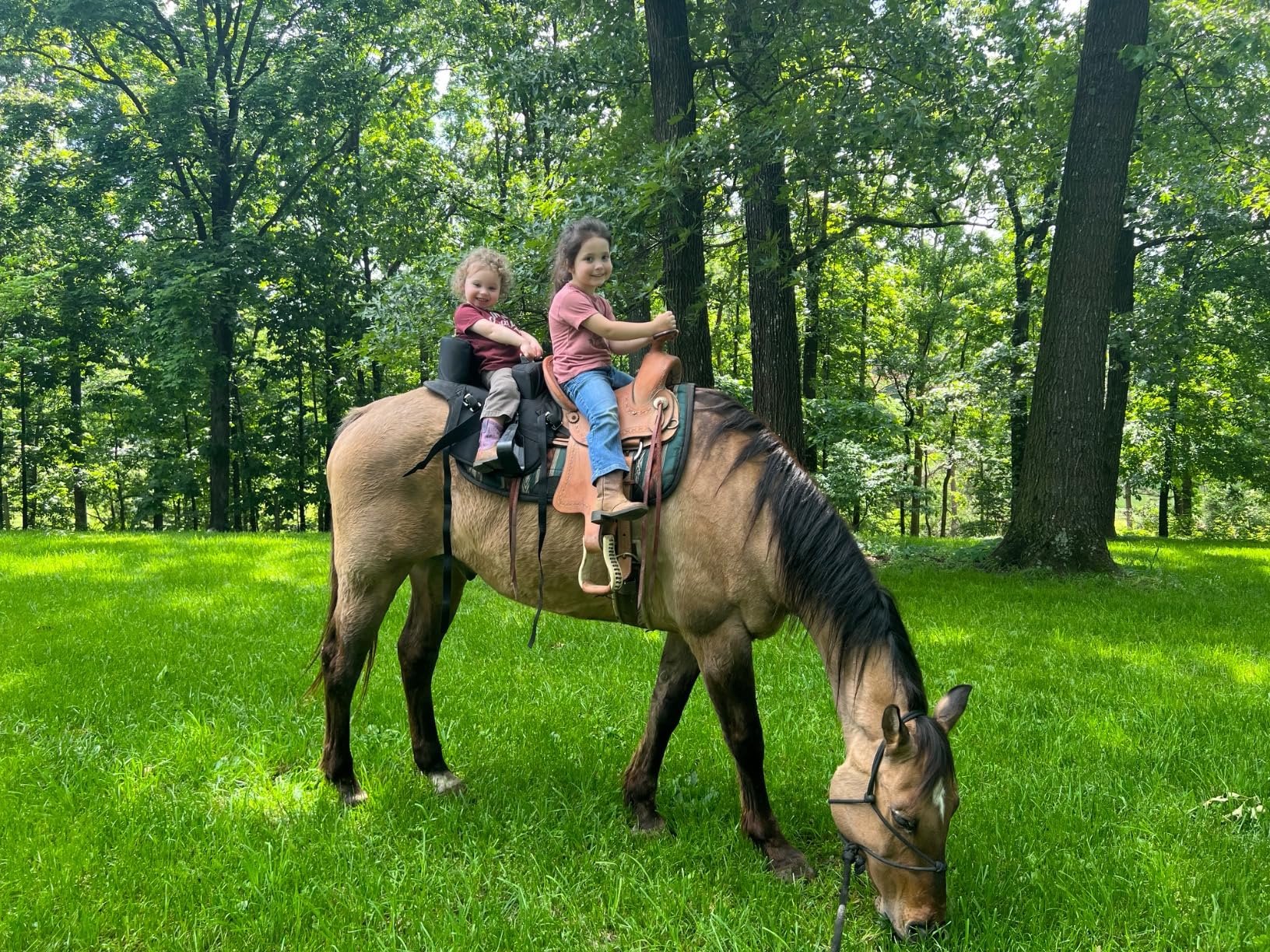 Southwestern Equine The Ride Along Buddy Seat (Original) Kid Saddle Western Saddle Attachment Buddy Saddle Seat for Kids customer photo 2