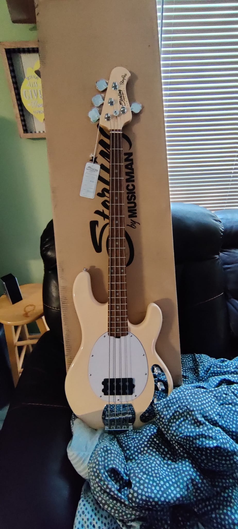 Sterling by Music Man StingRay Ray4 Bass Guitar - Walnut Satin customer photo 2