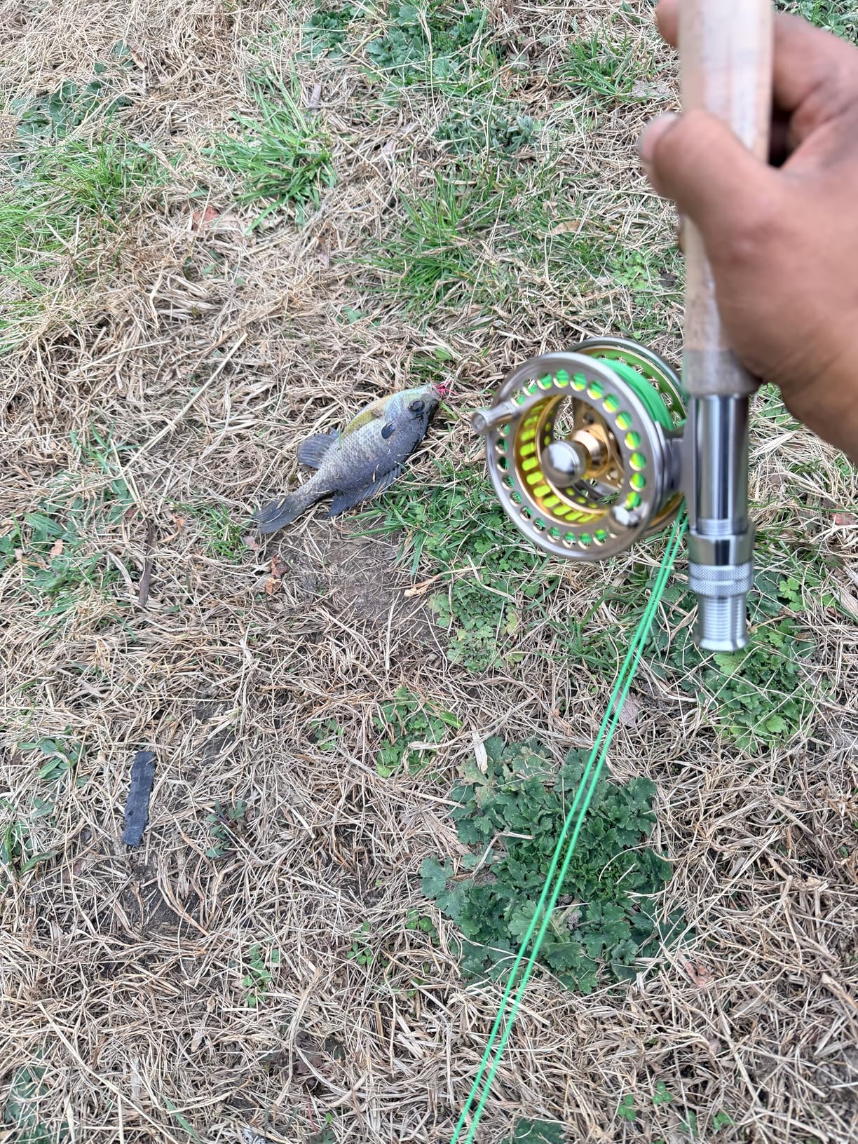 Sougayilang Fly Fishing Rod Reel Combos with Lightweight Portable Fly Rod and CNC-machined Aluminum Alloy Fly Reel,Fly Fishing Complete Starter Package customer photo 1