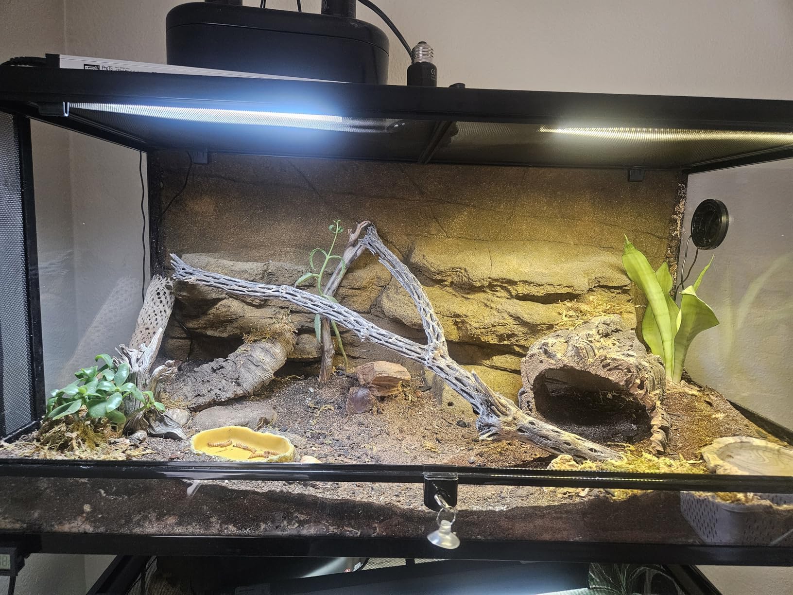 REPTI ZOO 50 Gallon Reptile Glass Terrarium Tank Double Hinge Door with Screen Ventilation 36 x 18 x 18 inch customer photo 1