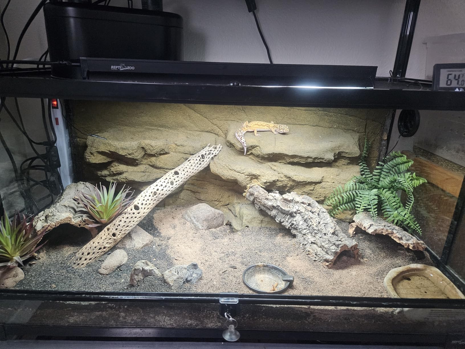 REPTI ZOO 50 Gallon Reptile Glass Terrarium Tank Double Hinge Door with Screen Ventilation 36 x 18 x 18 inch customer photo 2