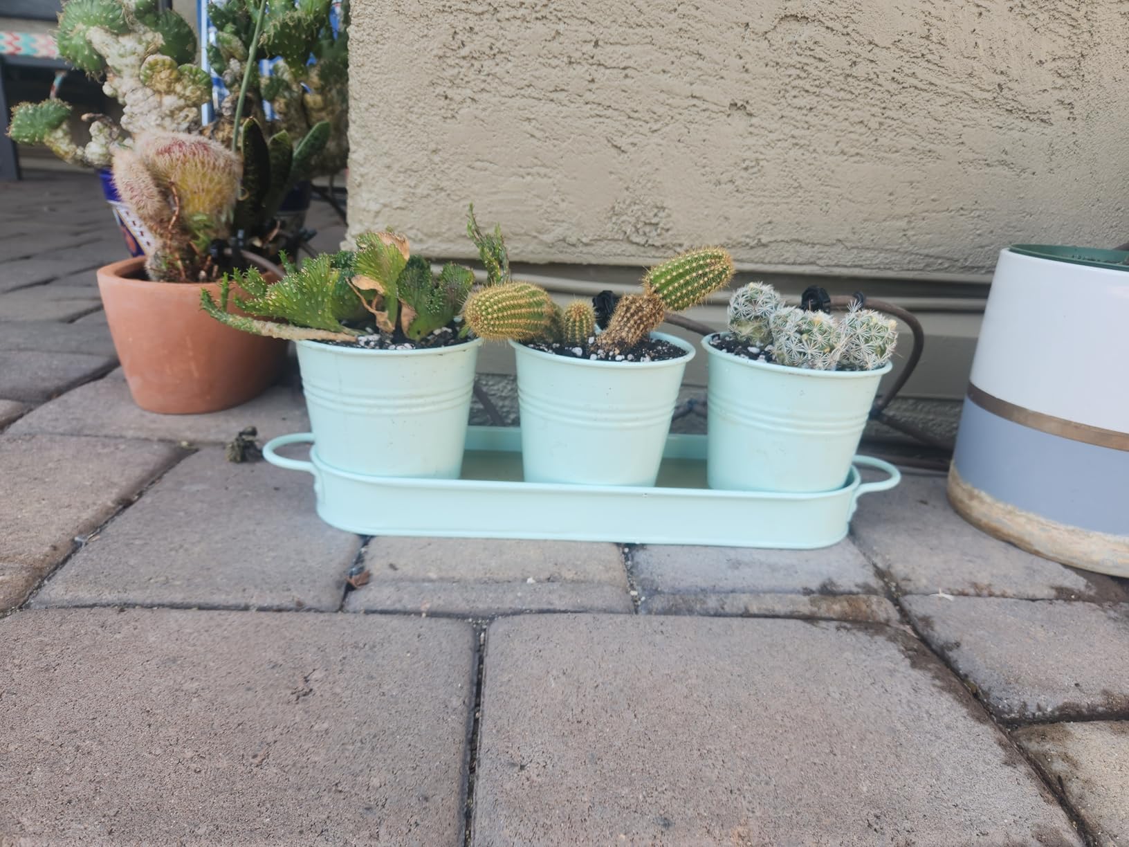 Barnyard Designs Indoor Herb Garden Planter Set with Tray, Metal Windowsill Plant Pots with Drainage, Set/3 (White) customer photo 2