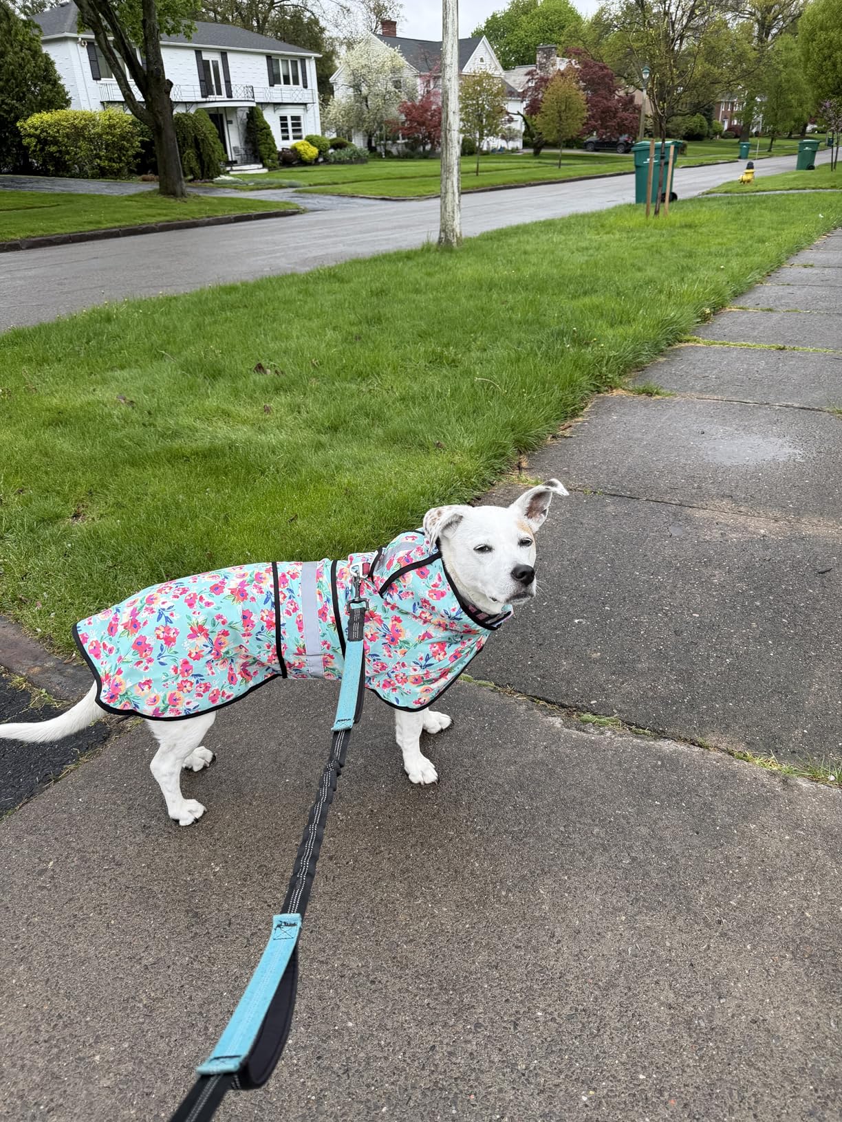 HDE Dog Raincoat Jacket Reflective Adjustable Hooded Pet Poncho Rain Coat with Leash Hole for Small to X-Large Dogs Rubber Ducks customer photo 1
