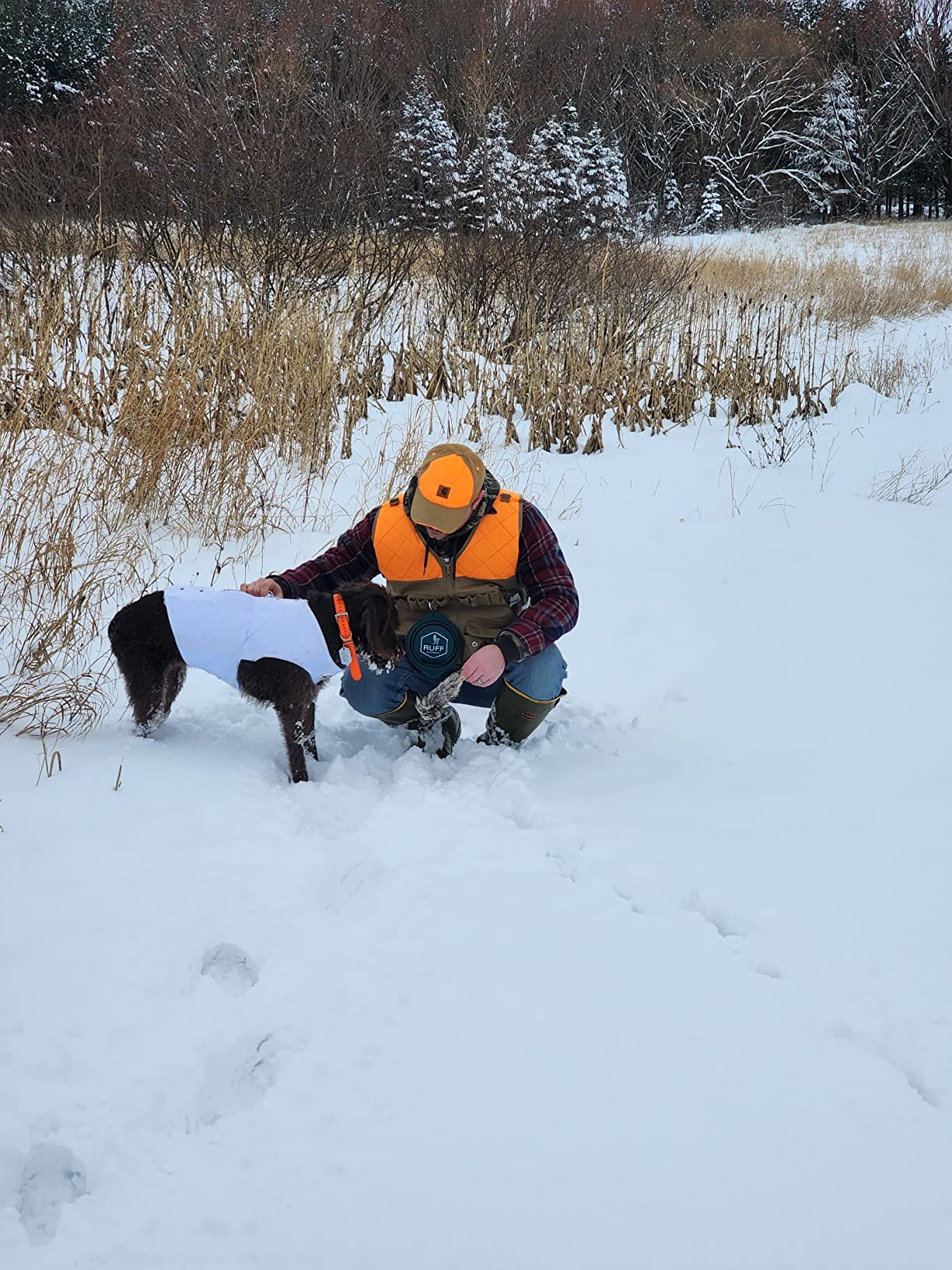 Rig'Em Right Waterfowl Bloodline Elite Dog Vest for Duck Hunting with Ultra Comfortable 3mm Neoprene 3-Layer Construction, Flotation Foam, Heavy-Duty Canvas, and More (Optifade Marsh, L) customer photo 1