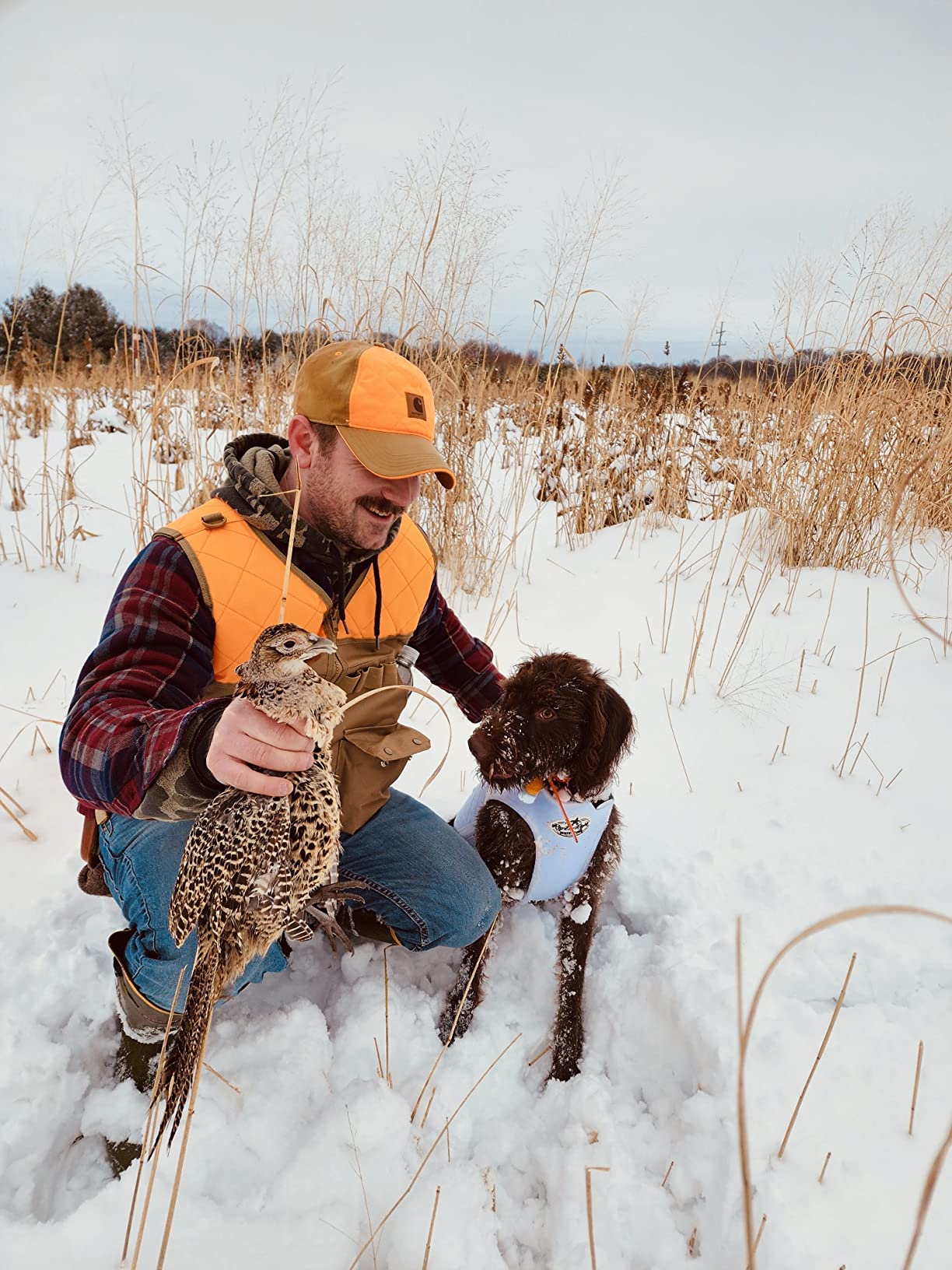 Rig'Em Right Waterfowl Bloodline Elite Dog Vest for Duck Hunting with Ultra Comfortable 3mm Neoprene 3-Layer Construction, Flotation Foam, Heavy-Duty Canvas, and More (Optifade Marsh, L) customer photo 2