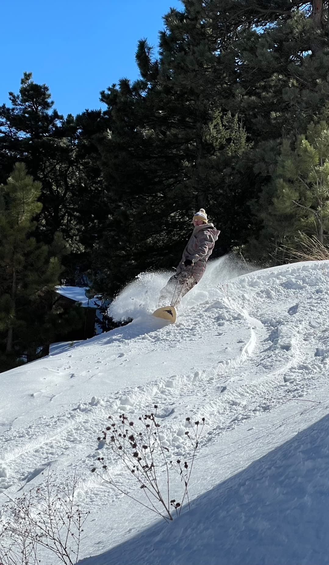 Burton The Throwback Snowboard customer photo 1