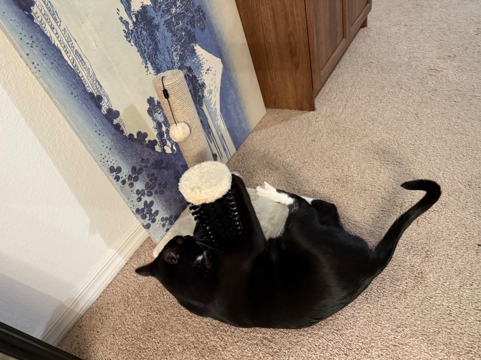 Amazon Basics Cat Scratching Post with Self Groomer for Indoor Cats & Kittens, Small (16.5