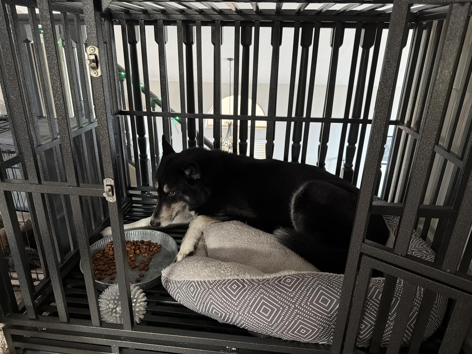 LUCKUP 38 Inch Heavy Duty Dog Cage Metal Kennel and Crate for Large Dogs, Easy to Assemble Pet Playpen with Four Wheels, Black customer photo 1