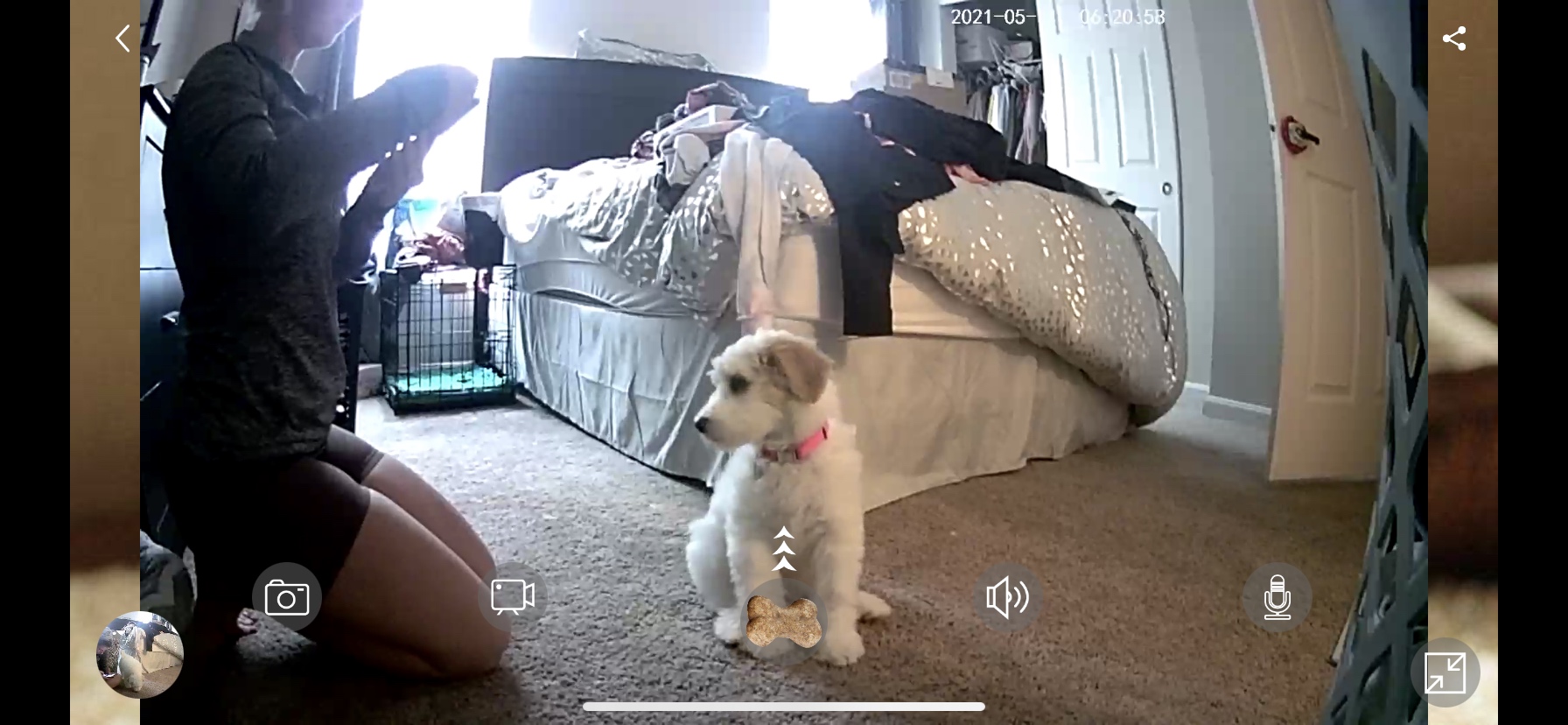 Dog Camera Treat Dispenser, WiFi Full HD Pet Camera with Two-Way Audio and Night Vision, Compatible with Alexa (2.4G WiFi ONLY) (Petalk AI) customer photo 2