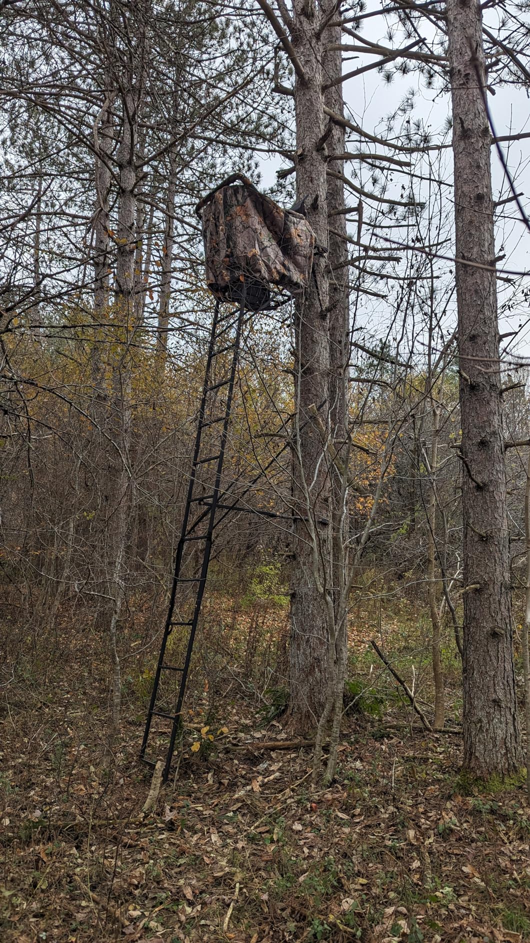 MUDDY 1-Person Huntsman Deluxe Steel Ladder Tree Stand, 17 ft Tall, 300 lb Capacity customer photo 1