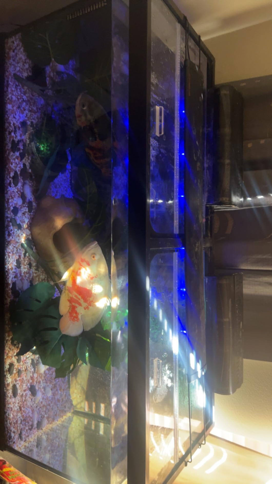 Glass Canopy Two Piece Set for Aquariums with Center Braces, 48 inch L x 13 inch W (Fits 55 Gallon) customer photo 2