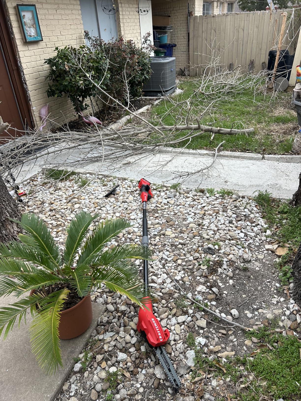 CRAFTSMAN V20 Cordless Pole Saw, 14-Foot, Battery and Charger Included, Up to 325 Cuts per Charge, 4.0Ah (CMCCSP20M1) customer photo 2