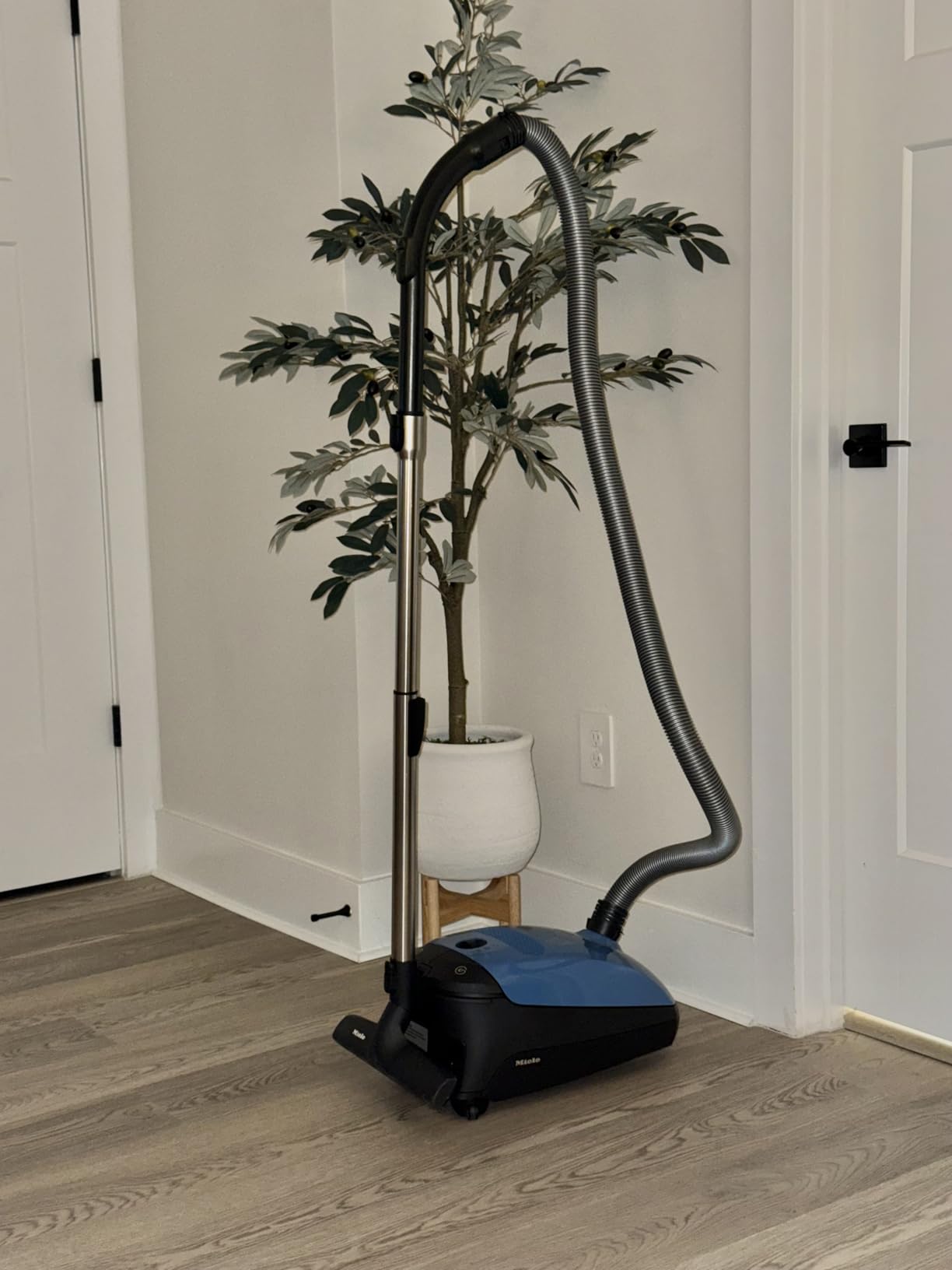 Miele Classic C1 Turbo Team Bagged Canister Vacuum, Tech Blue customer photo 2