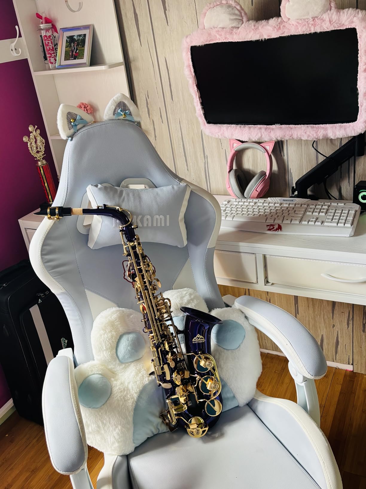 EASTROCK Alto Saxophone Gold E Flat Sax Full Kit for Students Beginner with Carrying Case, Mouthpiece, Mouthpiece Cushion Pads, Cleaning Cloth&Cleaning Rod, White Gloves, Neck Strap customer photo 1