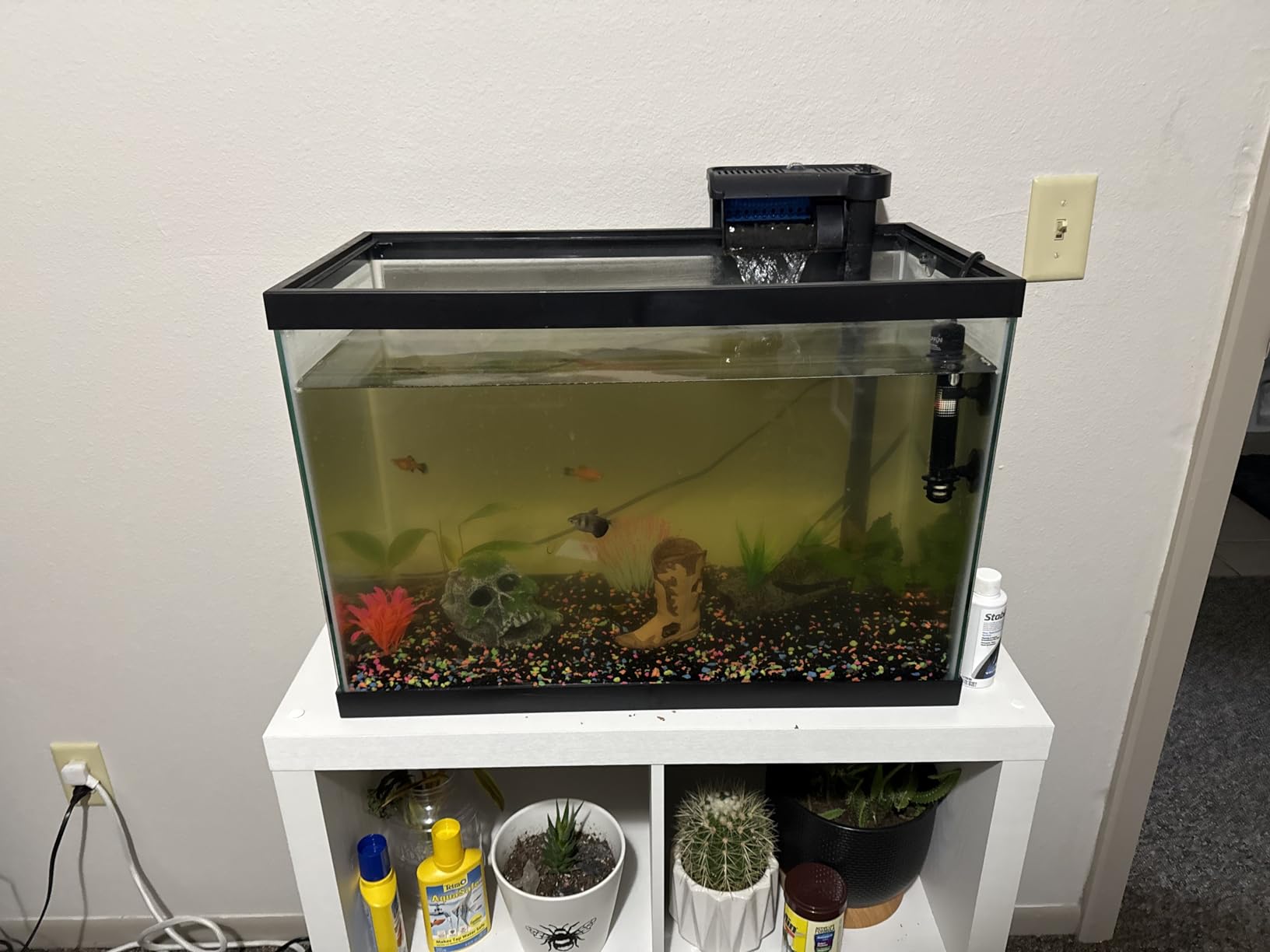 hygger Aquarium Double Sponge Filter, Comes with 2 Spare Sponges (S) customer photo 1