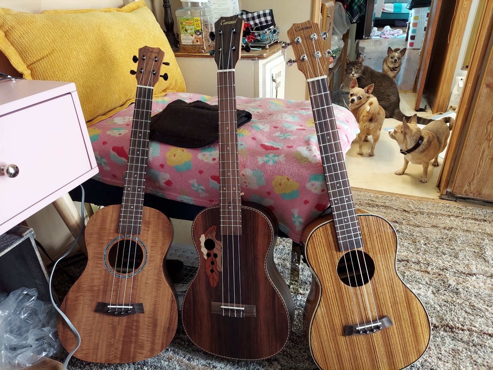 Caramel CB402 Baritone Electric Ukulele All Solid Mahogany Wood 30