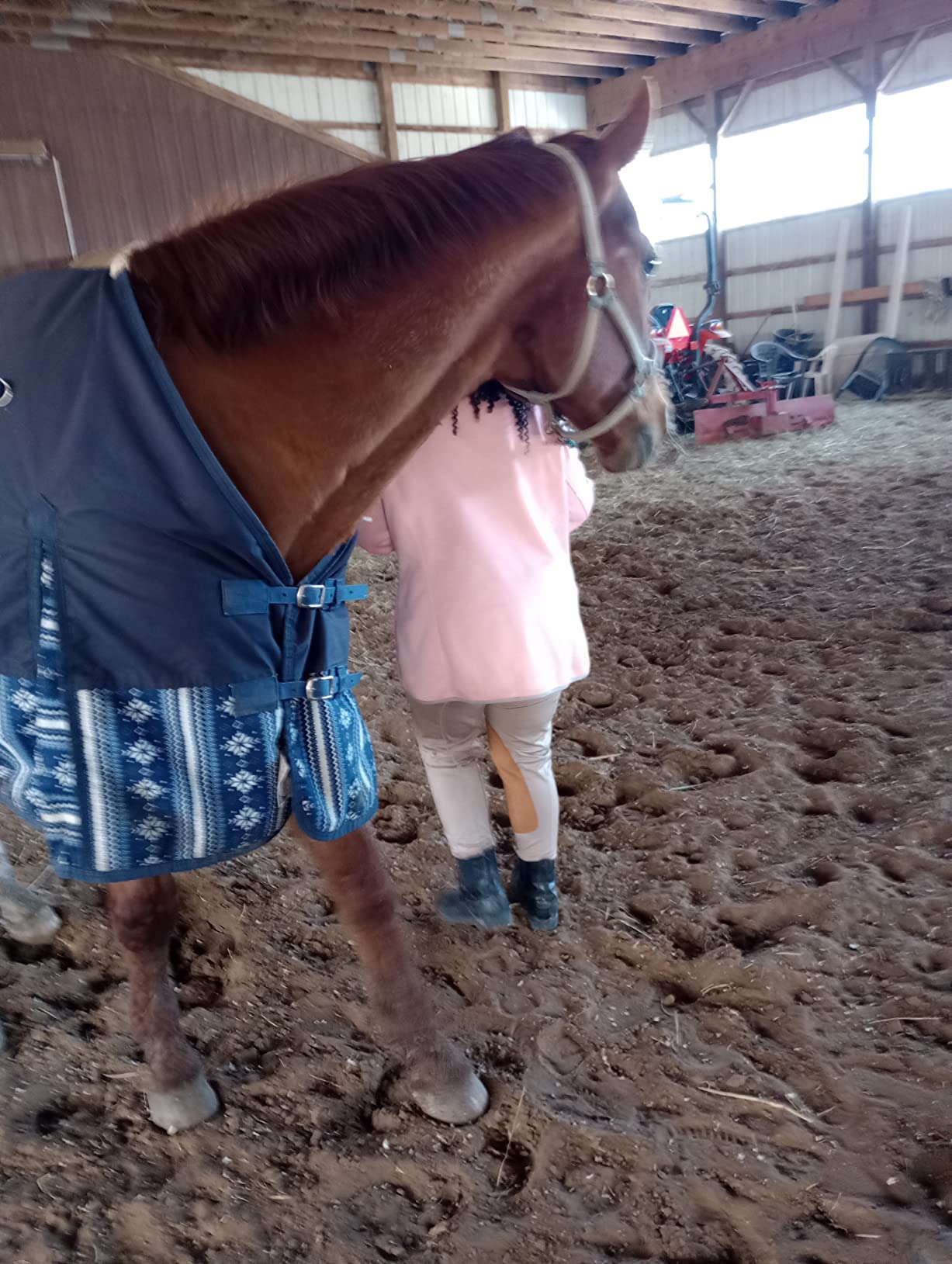 Dover Saddlery Provenance Lace Paddock Boots customer photo 1