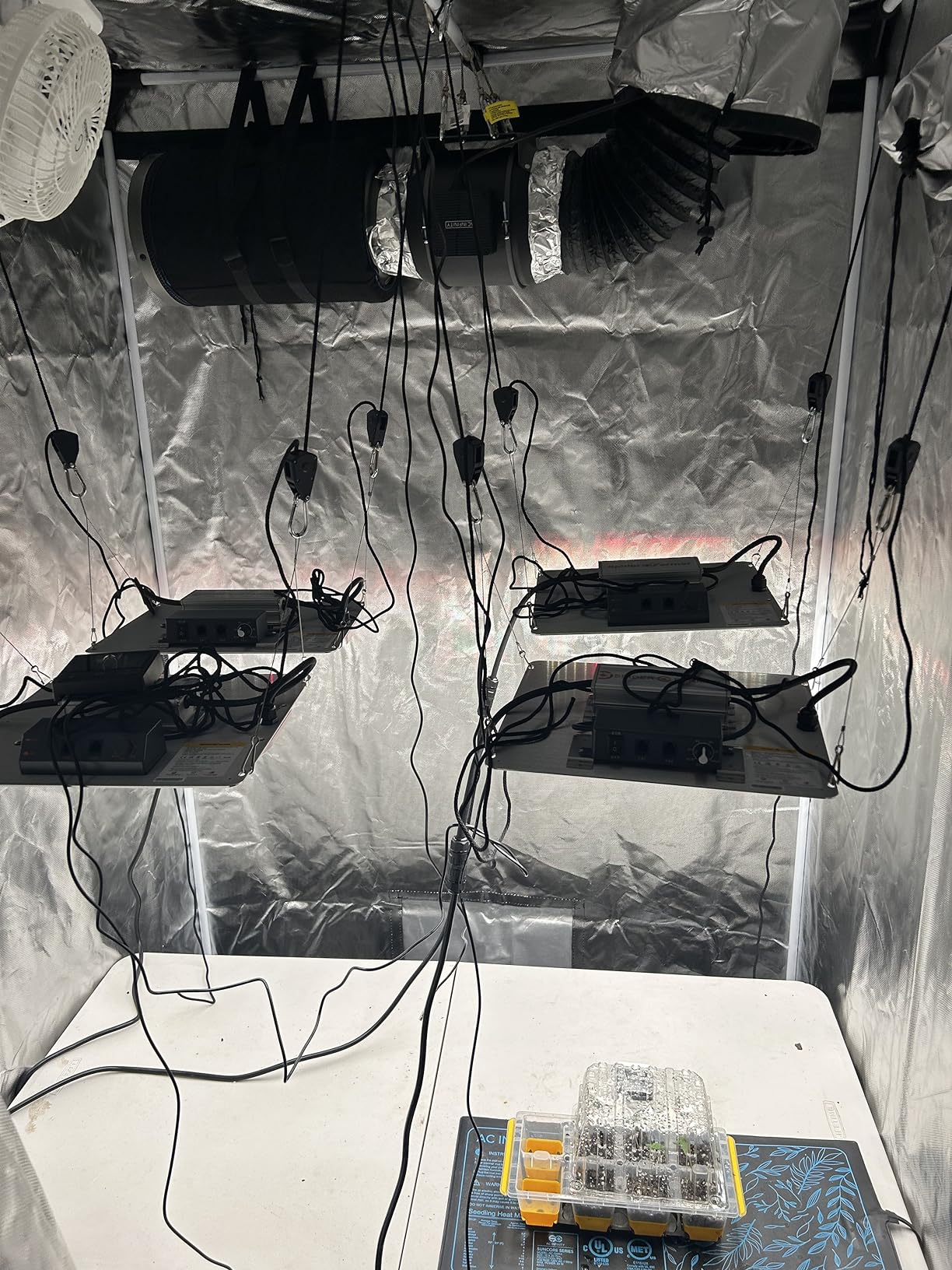 Spider Farmer SF2000 200W LED Grow Light for Indoor Plants, Upgraded High Efficiency LEDs, Dimmable Full Spectrum High PPFD, Deep Penetration for Seed Starting/Vegetables/Bloom in 2x4 Grow Tent customer photo 2