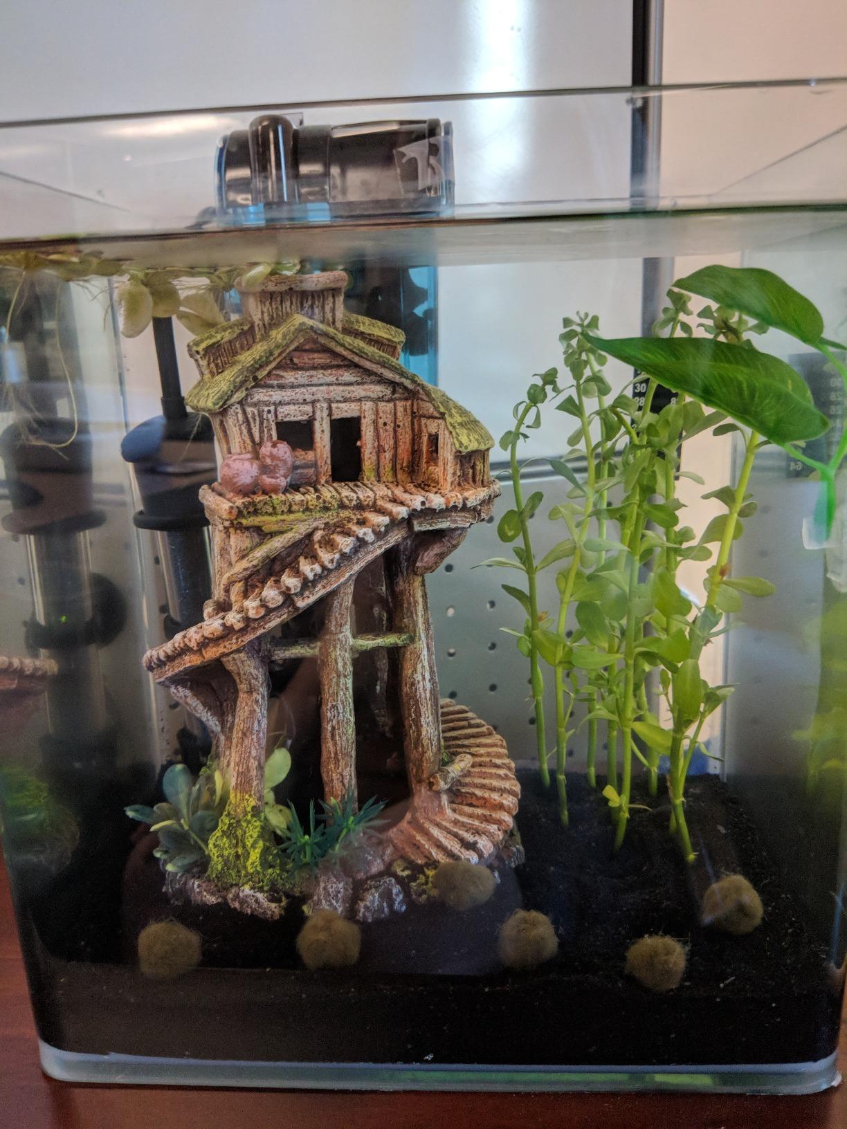 Penn-Plax Water-World Vertex Desktop Aquarium Kit - Perfect for Shrimp & Small Fish - 10 Gallon Tank customer photo 2