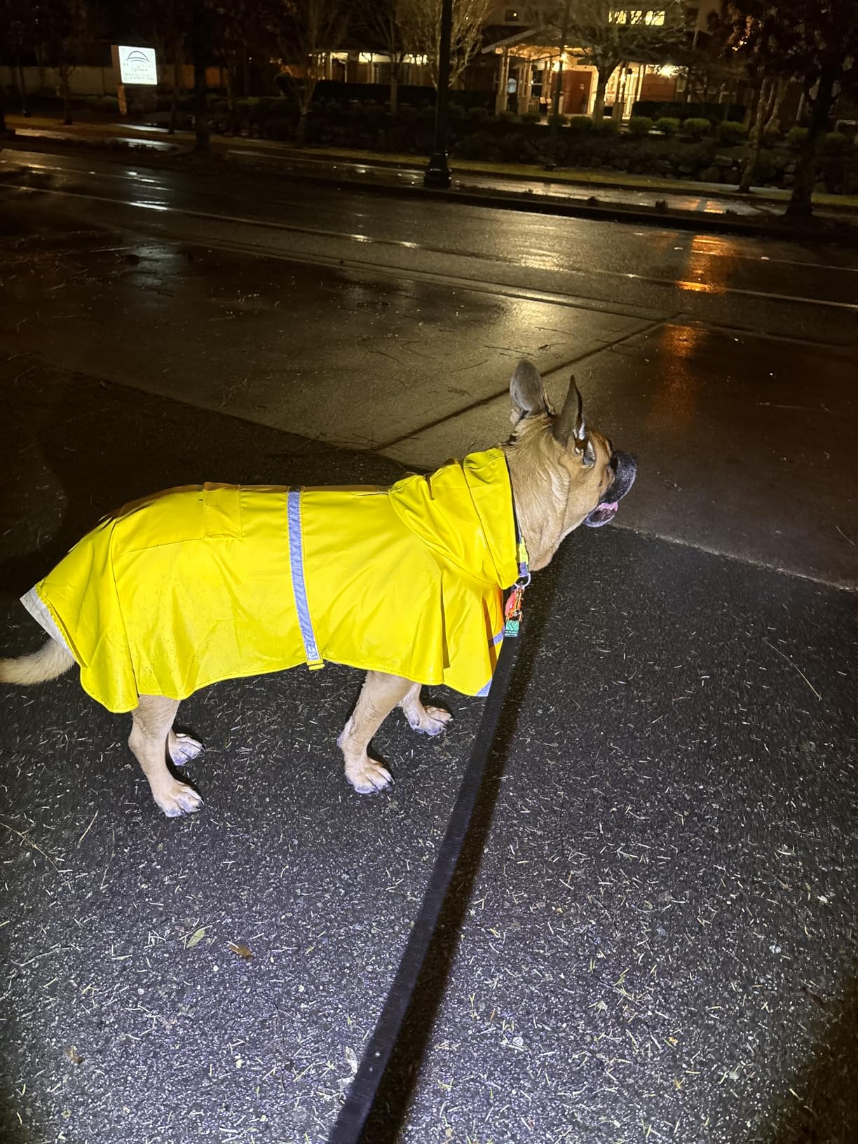 HAPEE Dog Raincoats with Reflective Strip Hoodie, Poncho Jacket for Large Dogs customer photo 2