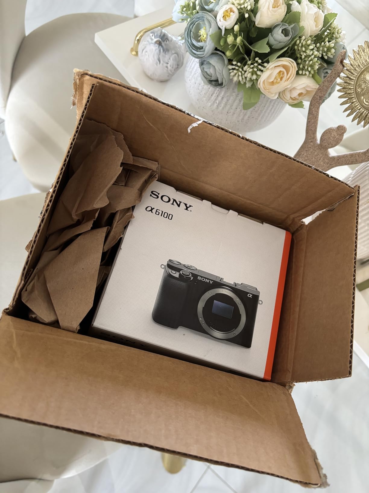 Alpha A6100 Mirrorless Camera, Black customer photo 1