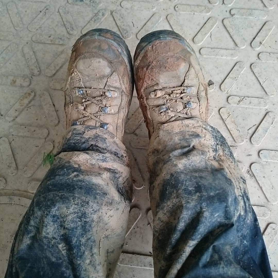 LOWA Women's Renegade GTX Mid Hiking Boot customer photo 2