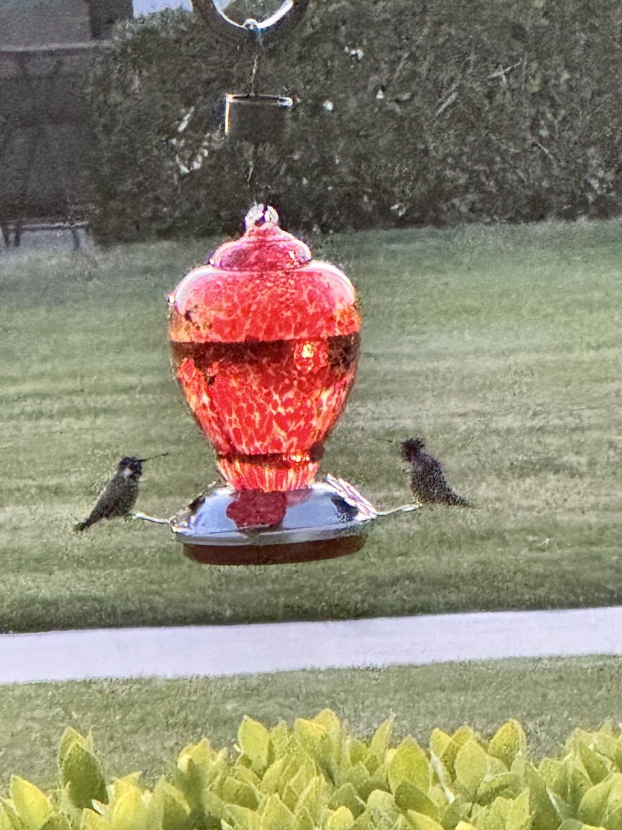 WOSIBO Hummingbird Feeder for Outdoors Patio Large 32 Ounces Colorful Hand Blown Glass Hummingbird Feeder with Ant Moat Hanging Hook, Rope, Brush and Service Card (RED-Firework) customer photo 1