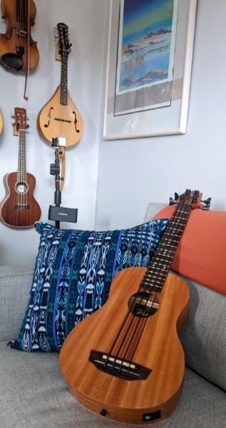 Kala Nomad Acoustic-Electric U-BASS customer photo 1