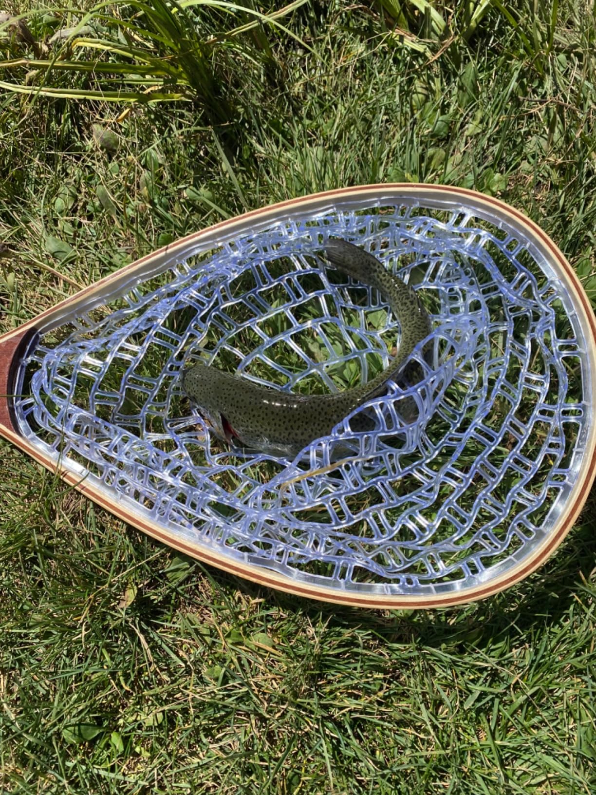 PLUSINNO Fly Fishing Net, Wooden Frame Fishing Landing Net with Magnetic Release, Soft Rubber Mesh Net for Trout Bass Catch and Release customer photo 1