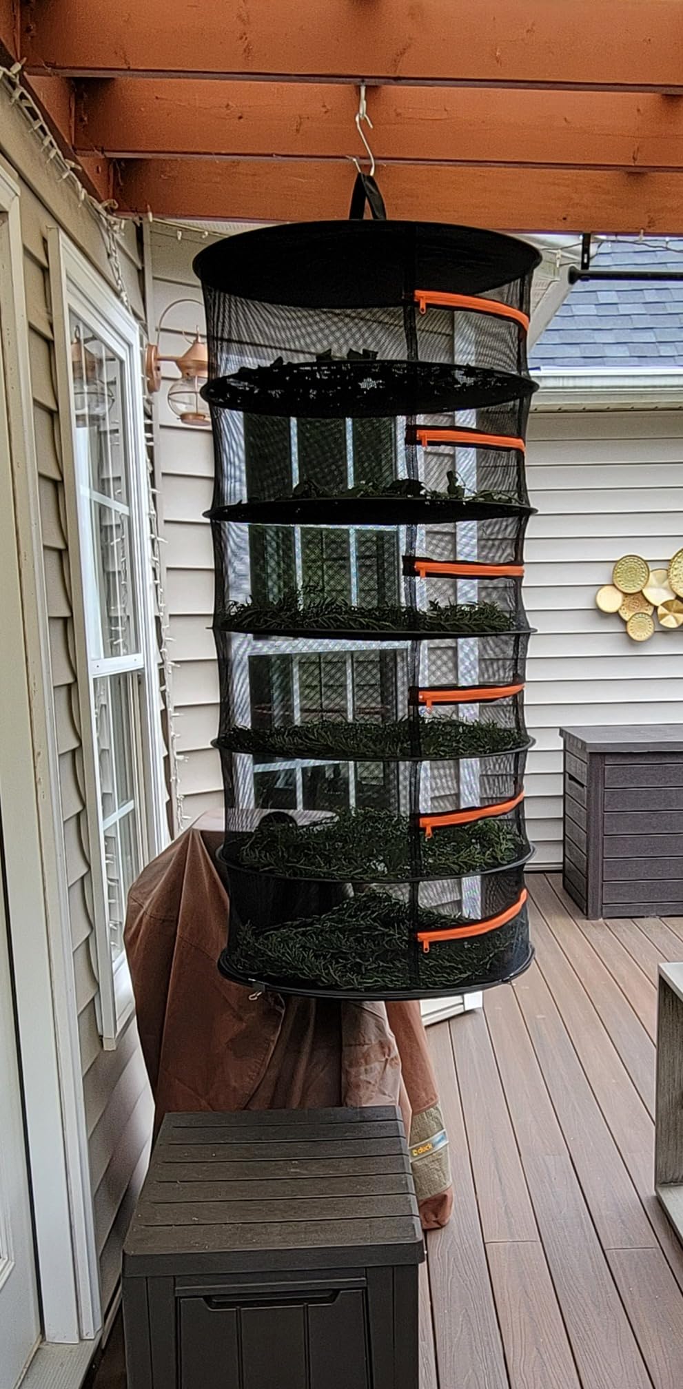 Herb Drying Rack-2ft Diameter 8 Layer Folding Mesh Hanging Basket Dryer Net with Zippers for Seeds Flowers Buds Plants Garden Outdoor Bumper Harvest(D24xH31 inch) customer photo 2