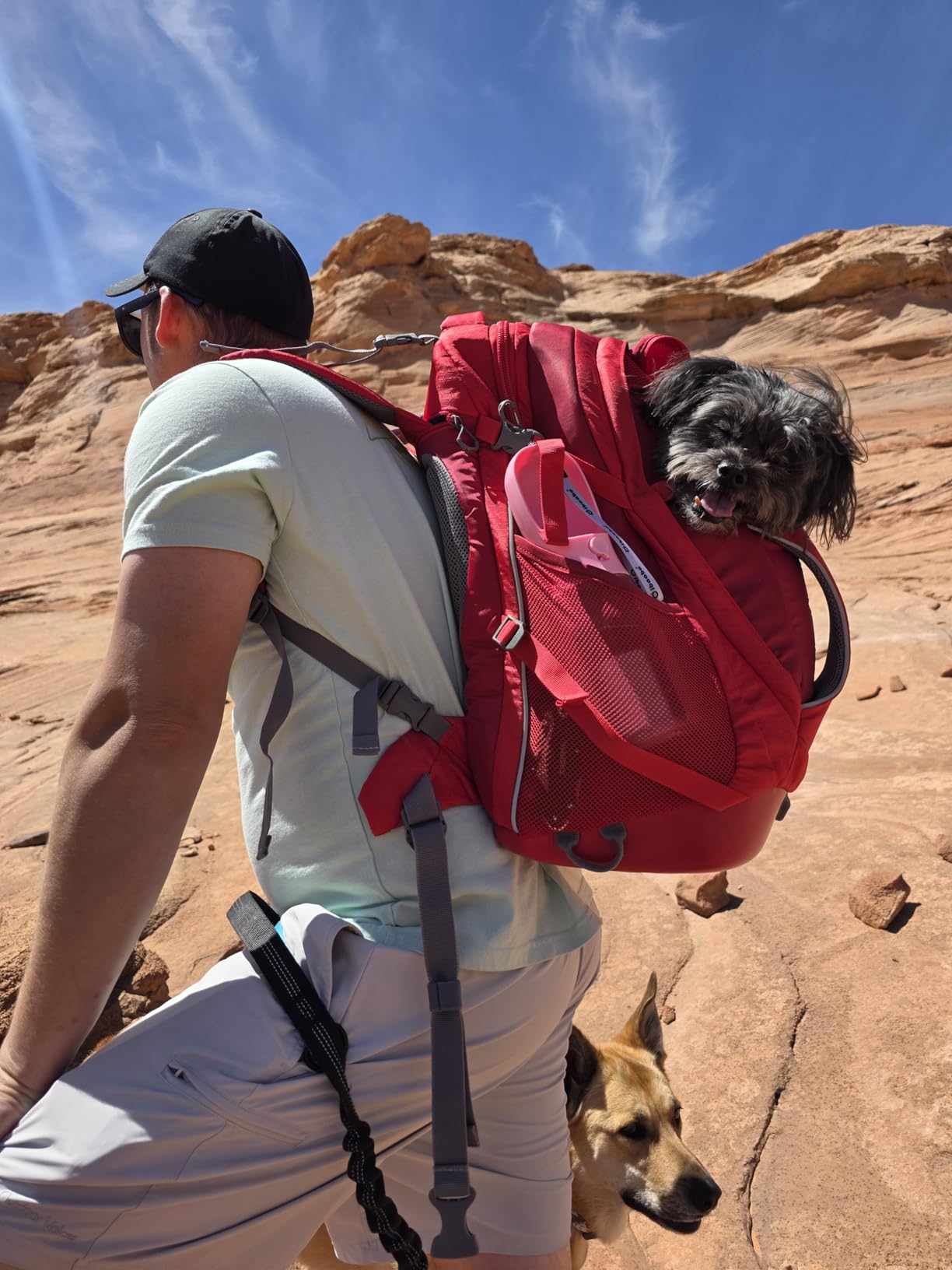 Kurgo G-Train Dog Carrier Backpack - Comfortable Travel Bag for Pets Up to 25 lbs - Waterproof Bottom - Multi-Compartment Pack - Dog Hiking Gear - Rugged Adventure Backpack - Red customer photo 1