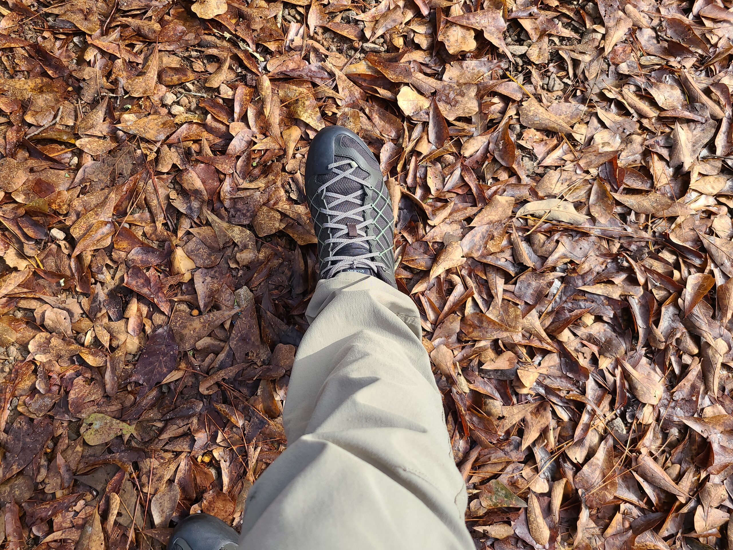 Salewa Men's Wildfire GTX Approach Shoe - Durable, Waterproof Gore-Tex Trail Shoe for Hiking & Climbing customer photo 1