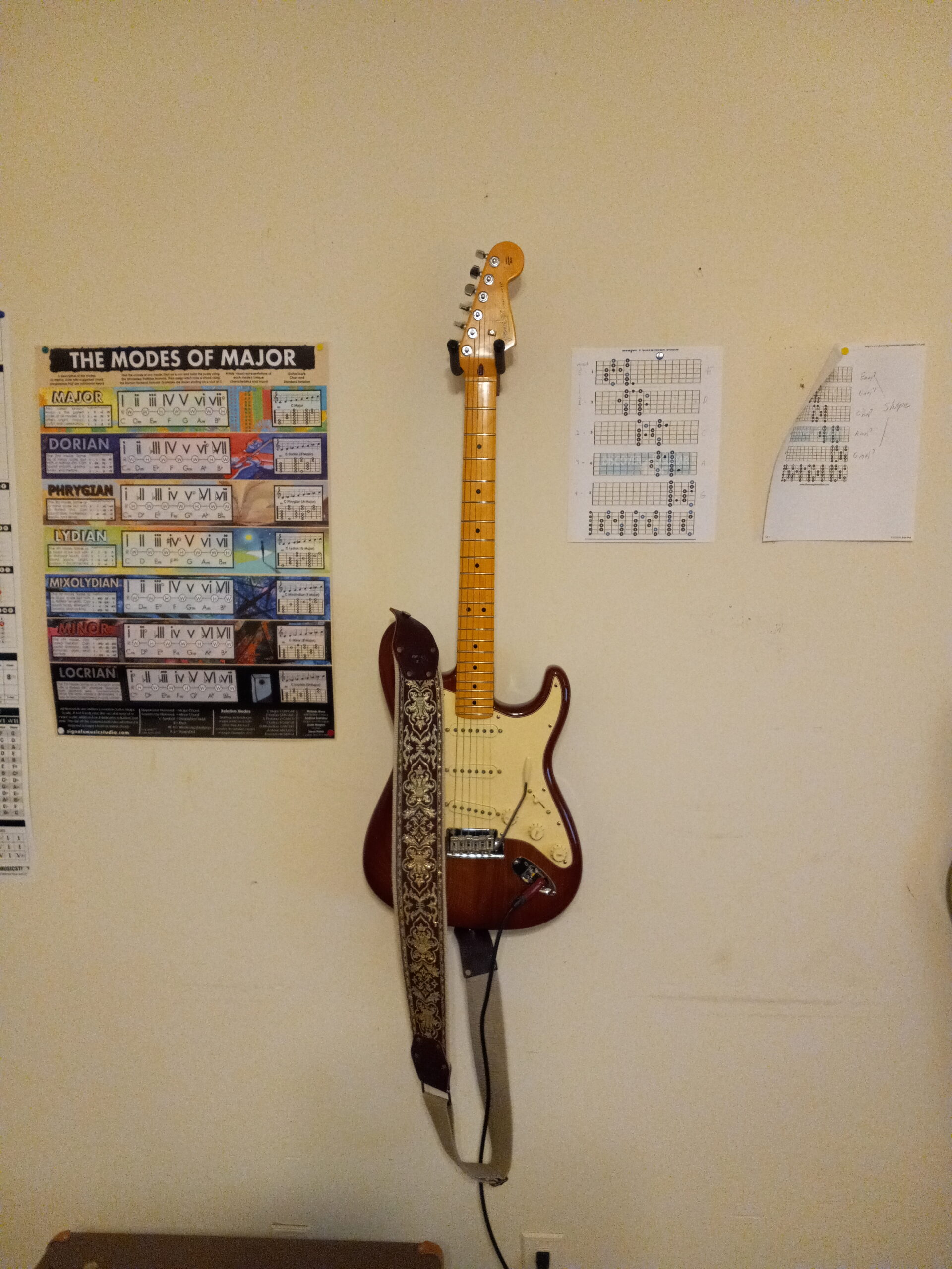 American Professional II Stratocaster - Sienna Sunburst with Maple Fingerboard customer photo 2