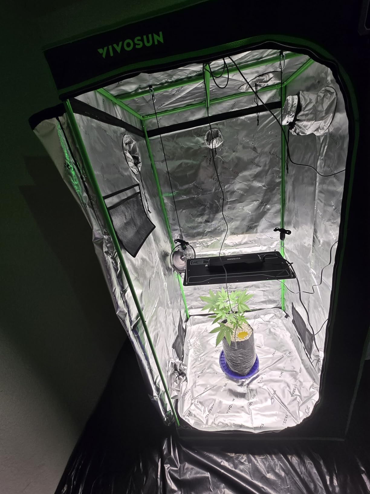VIVOSUN LumaLight 200W LED Grow Light, Full Spectrum Plant Light, Smart Dimmable & High PPFD for Indoor Plants Seedling Vegetables Bloom, Fits 2×4/3×3 Grow Tents customer photo 2