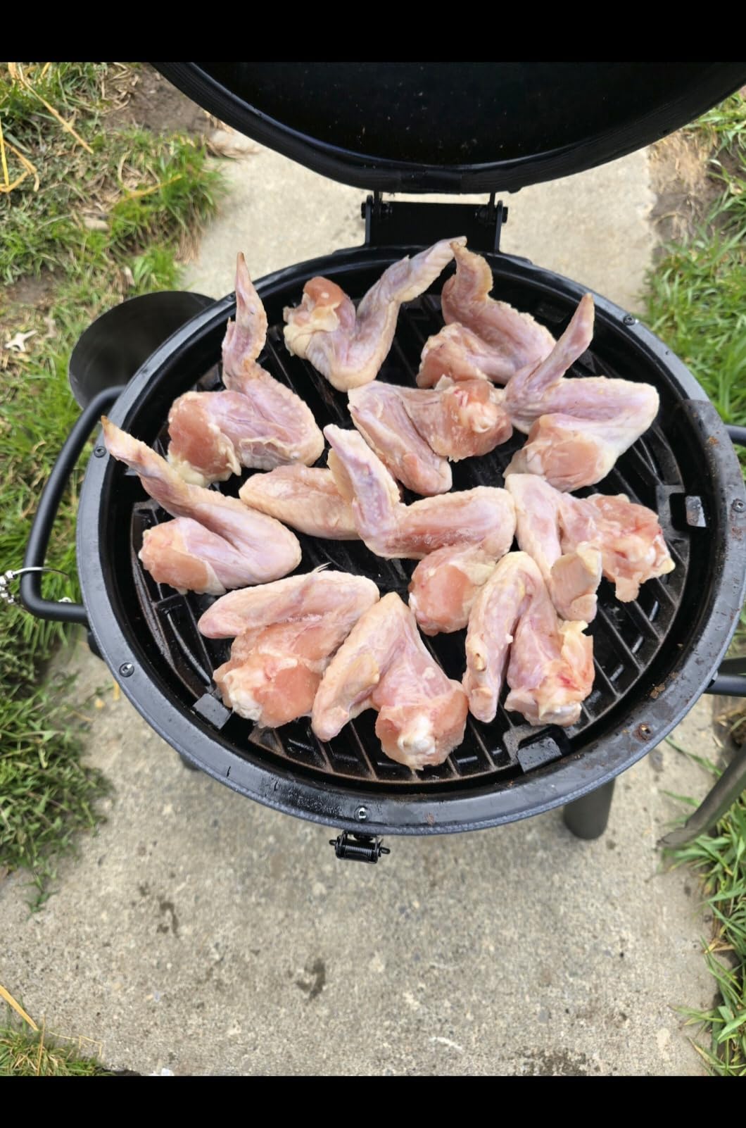 Char-Griller AKORN Jr. Portable Kamado Charcoal Grill and Smoker with Cast Iron Grates and Locking Lid with 155 Cooking Square Inches in Ash customer photo 1