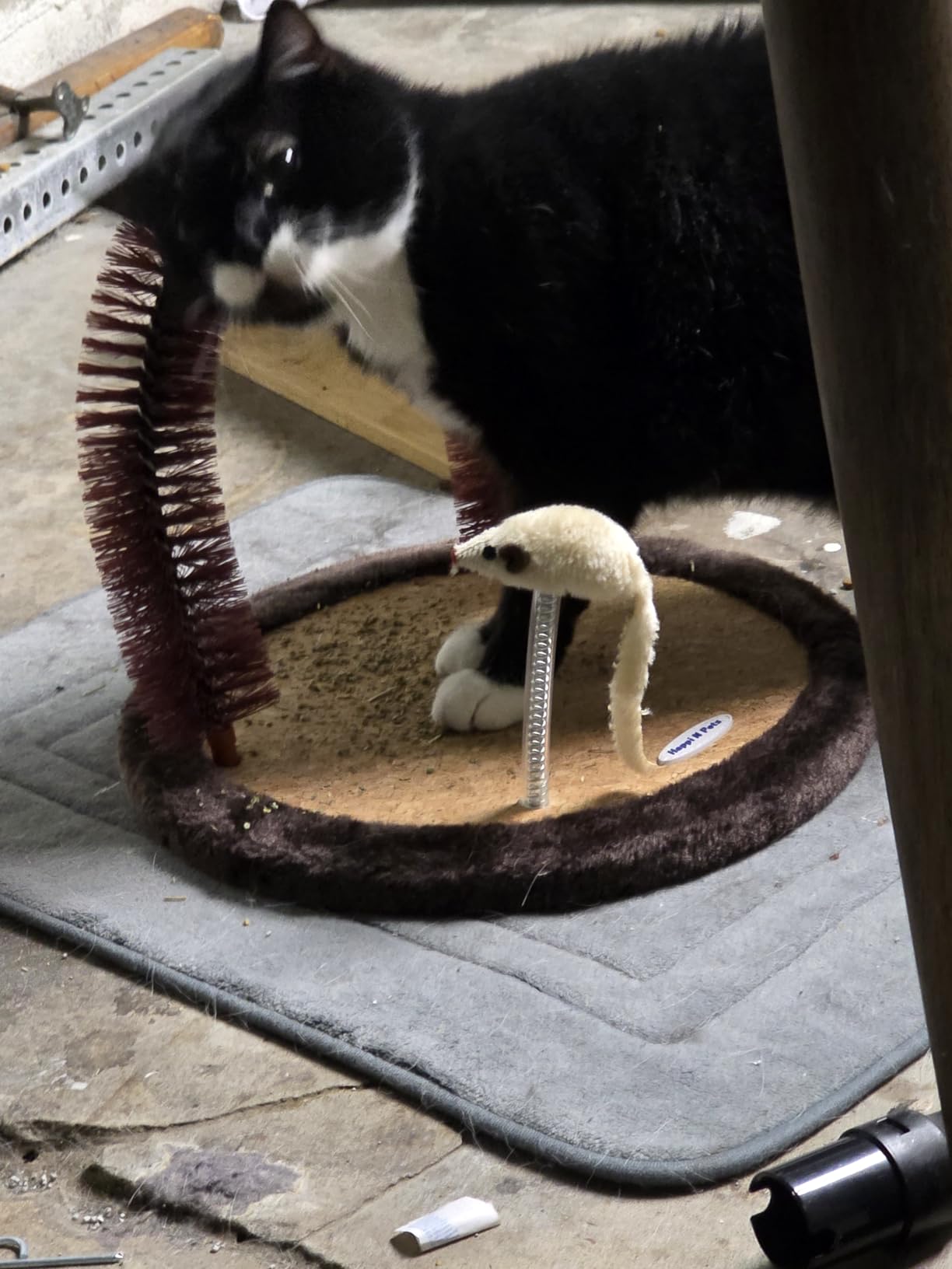 Happi N Pets Original Cat Self Groomer, Arch Grooming Brush wtih Heavy Wooden Scratching Pad, Rubbing Post & Toy, Cat Face Scratchers Body Massager, Cat Scratchers for Indoor Cats, Brown customer photo 2