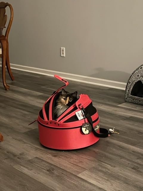 Sleepypod Mobile Pet Bed - Multi-use Travel Pet Bed, Crash-Tested Car Seat, & Carrier for Dogs and Cats up to 15 Pounds (Robin Egg Blue) customer photo 2