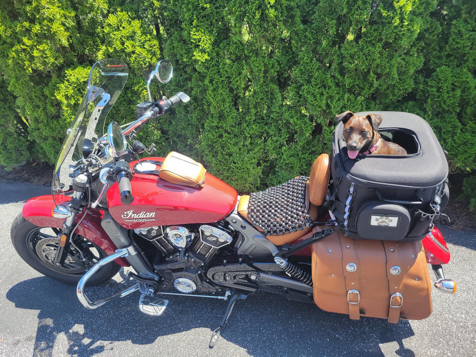 Goldfire Motorcycle Dog/Cat Carrier, Portable Pet Carrier for Harley, Indian, Can Am Spyder customer photo 1