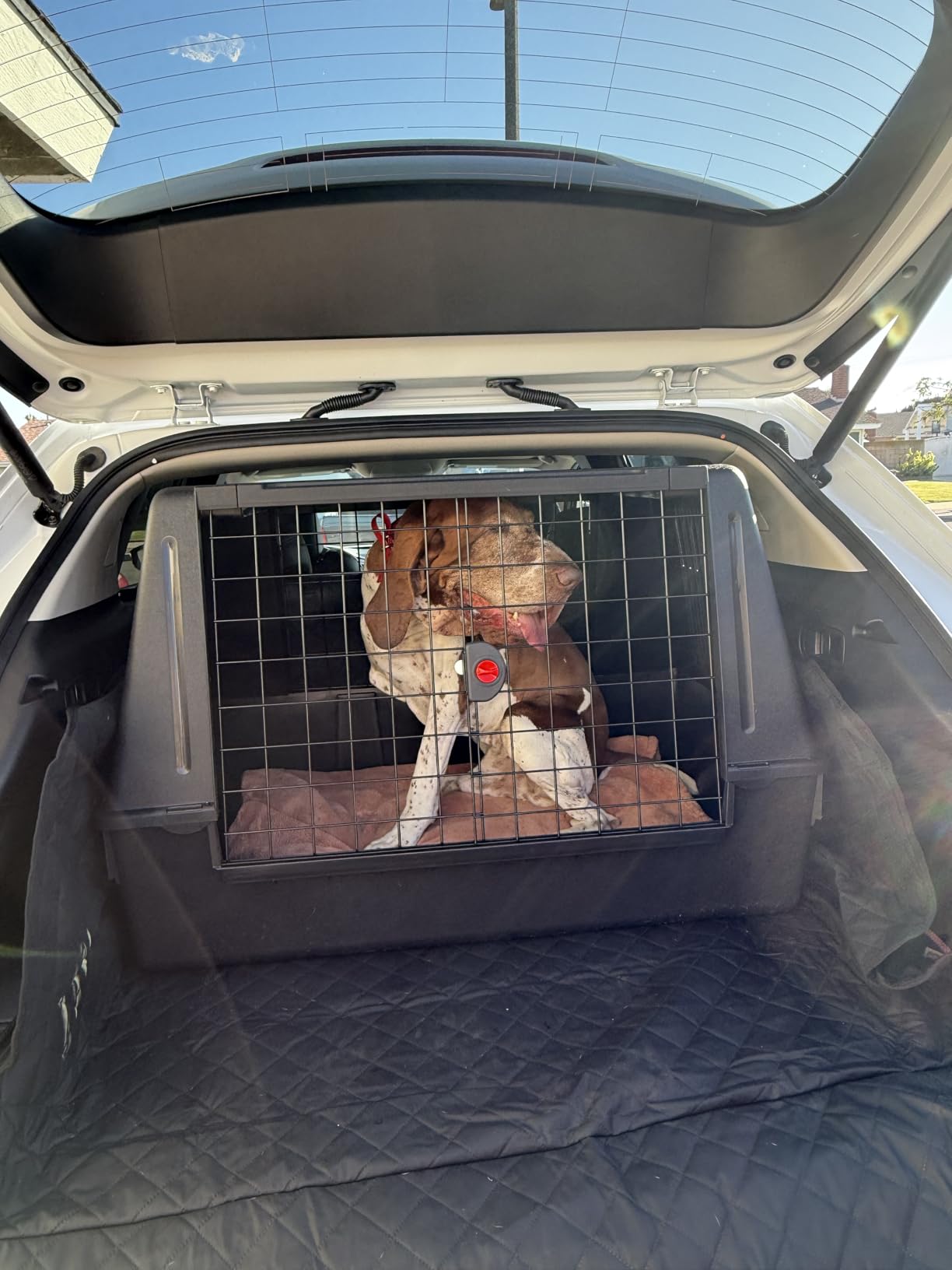 Ferplast Atlas Vehicle SUV Dog Crate, Assembled Car Dog Crate Measures 39L x 23W x 26H, Ideal for Medium to Intermediate Dog Breeds, Black customer photo 1