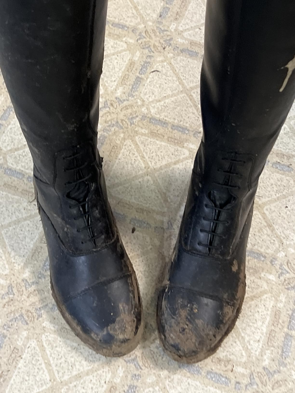 HORZE Rover Women's Synthetic Leather Classic Tall Field Riding Boots | Water-Resistant with Laces and Rear Zipper customer photo 2