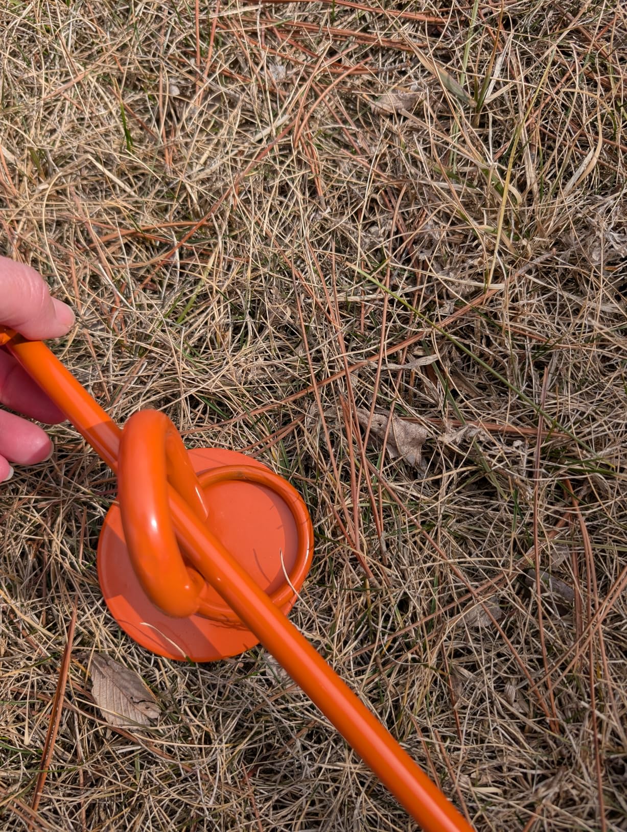 Eurmax USA Dog Tie Out Stake - Heavy Duty in Ground Anchor for Large Dogs up to 210 Lbs, Secure No-Tangle Pet Runner for Yard, Beach & Camping, Quick Easy Install Dog Accessory(Orange) customer photo 1