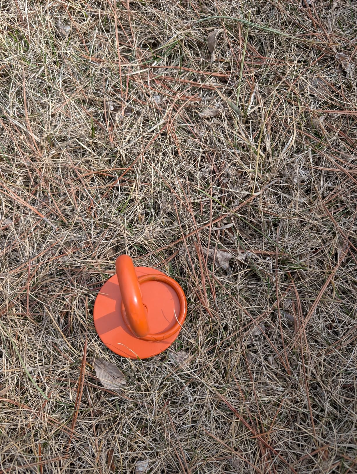 Eurmax USA Dog Tie Out Stake - Heavy Duty in Ground Anchor for Large Dogs up to 210 Lbs, Secure No-Tangle Pet Runner for Yard, Beach & Camping, Quick Easy Install Dog Accessory(Orange) customer photo 2