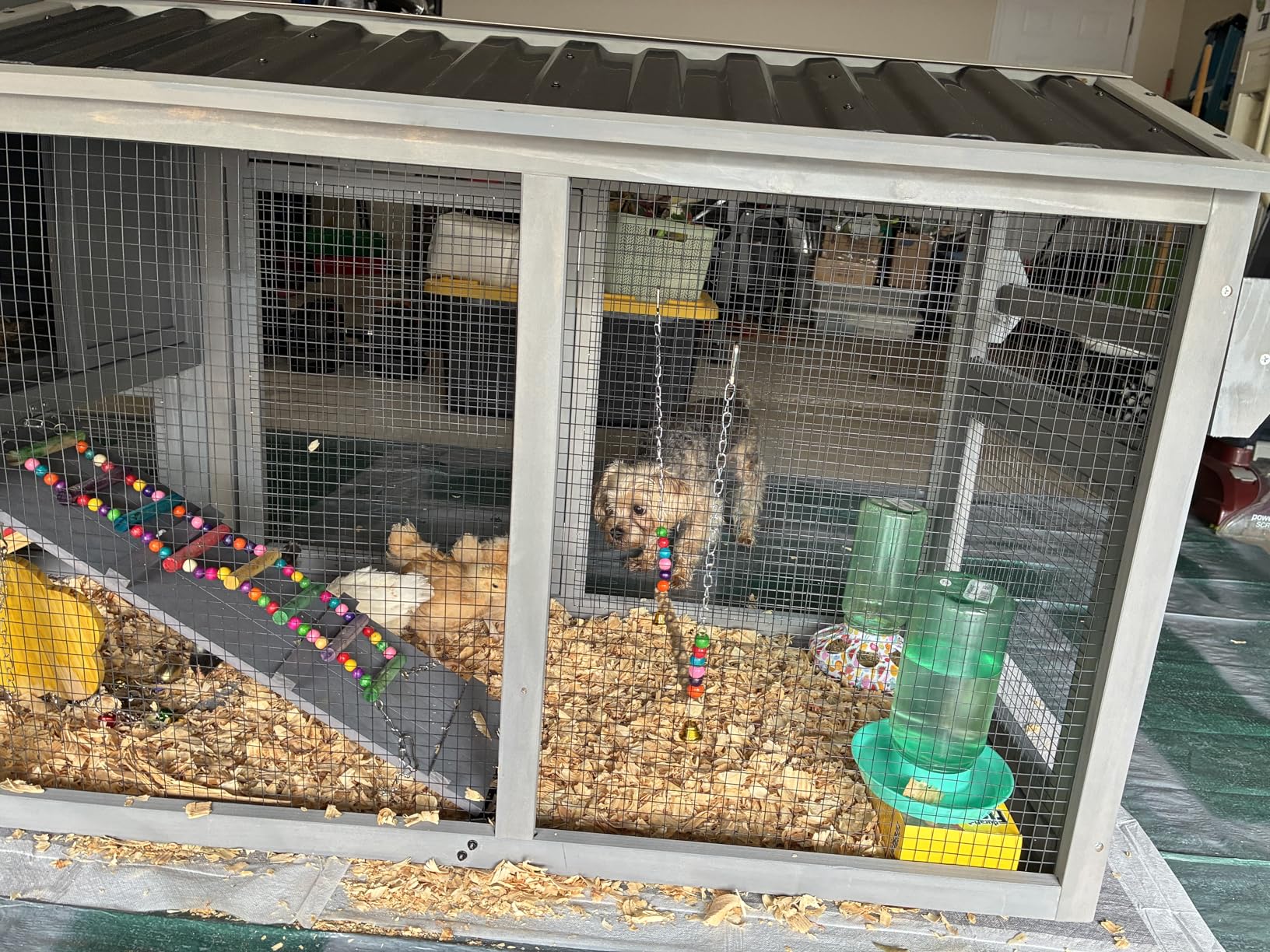 GUTINNEEN Large Chicken Coop 135