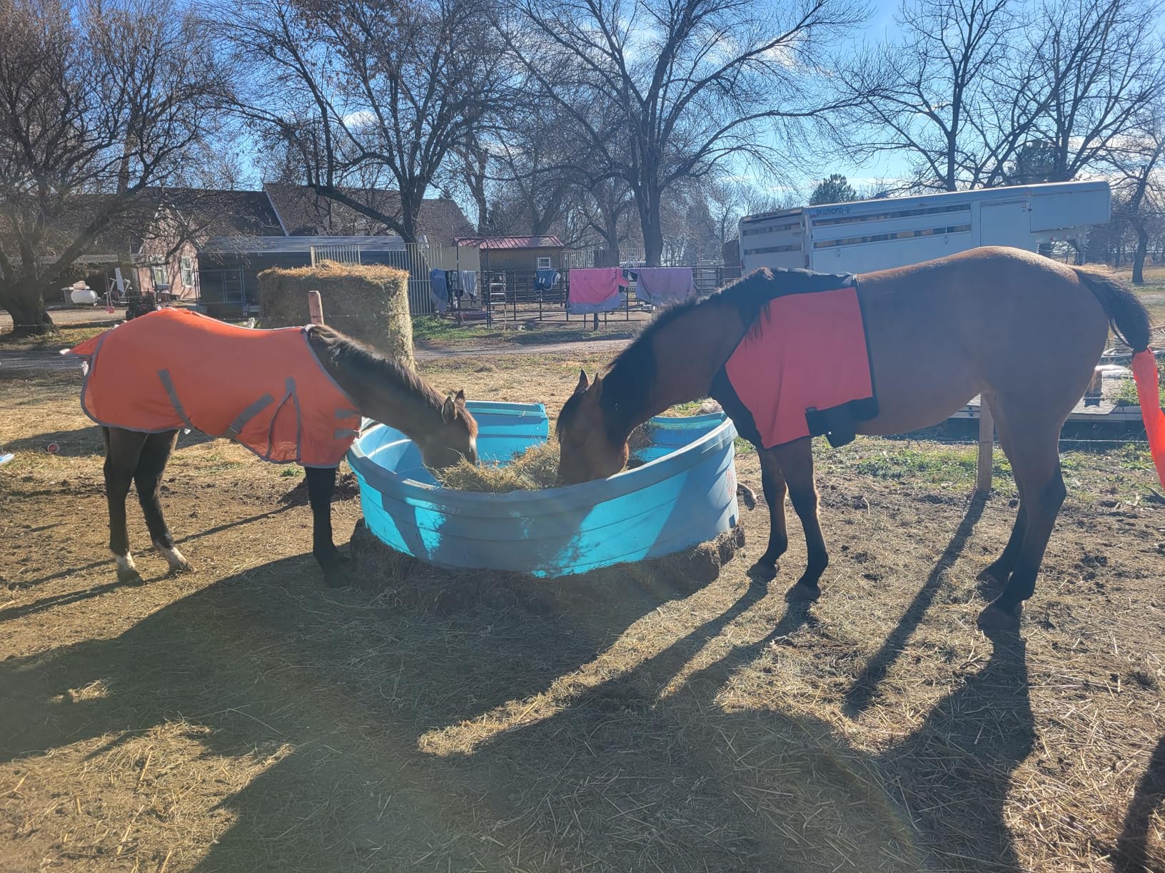 Soft Mesh Fly Sheet with Leg Straps- Colors customer photo 1