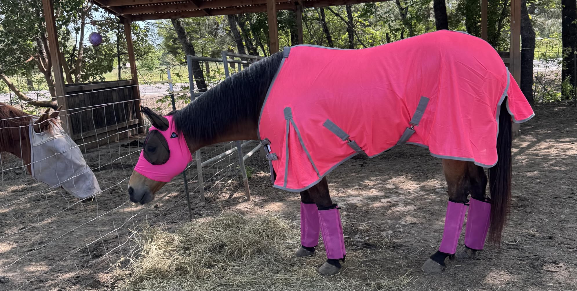 Soft Mesh Fly Sheet with Leg Straps- Colors customer photo 2